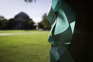 The Haitian American Student Association hung ribbons on the Quad in support of ovarian cancer awareness month, which ends Monday night. The group raised approximately $400 that will be donated to the Turn The Towns Teal organization to advance cancer research.