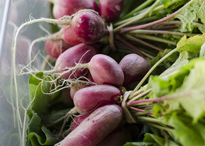 The North Syracuse Christian Church's “Fresh Food Give-a-Way” occurs once a month and offers fresh foods and meals to anyone, regardless of their income or where they live.