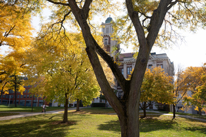 The committee will receive reports from the Chief Diversity and Inclusion Officer Keith Alford on progress regarding the implementation of SU’s five-year strategic plan on diversity, equity and inclusion.