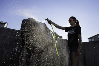 Cassie Head of Waterville washes her cow, 